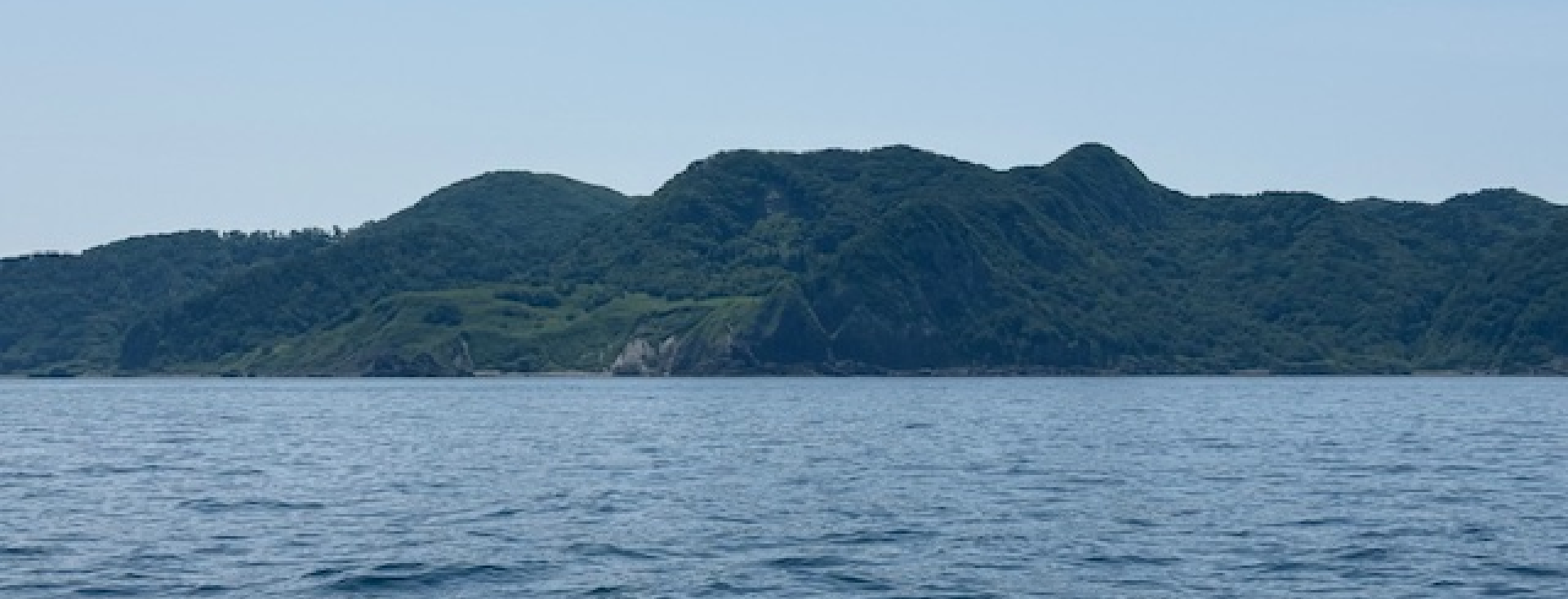 ごんちゃんの魚たち